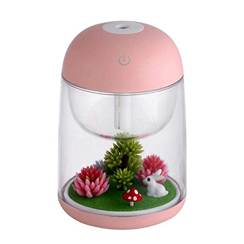DJYD Micro-Paisaje humidificador de Aire Kit cial difusor del Aceite del Regalo-Rosa (Color: Rosa) FDWFN (Color : Pink)