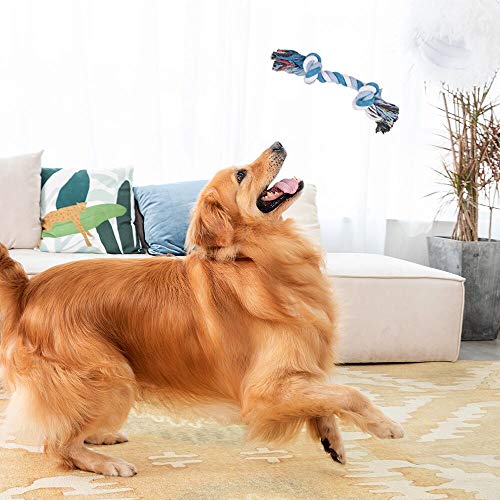 DMSL Cepillo para Gato Perro, Cepillo de Limpieza Peine Gatos para Pelo Muerto, Peine Perro Autolimpiante Quita Pelo Largo Corto Peine de Limpieza Masaje Cepillo para Mascotas