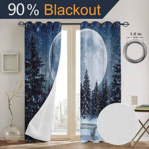 DONEECKL Winter Blackout Curtain Liner Dreamy Winter Night with a Big Full Moon and a Bench in Park Stars in The Darkness 2 Panel Sets W52 x L72 Inch Blue White