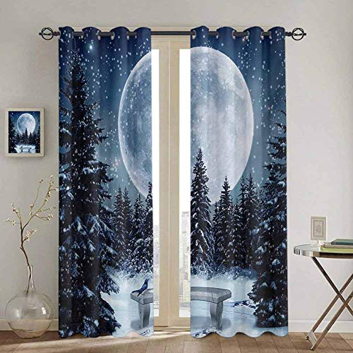 DONEECKL Winter Blackout Curtain Liner Dreamy Winter Night with a Big Full Moon and a Bench in Park Stars in The Darkness 2 Panel Sets W52 x L72 Inch Blue White