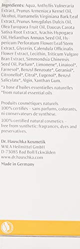 Dr. Hauschka Revitalizing Day Cream 100 Ml 1 Unidad 100 g