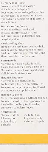 Dr. Hauschka Revitalizing Day Cream 100 Ml 1 Unidad 100 g