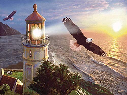 DUANGONGZI Regalo de Pintura al óleo para Adultos niños por numeros Pintura Mirador del águila Los Mejores Regalos para Amantes, niños y Madres.-40X50CM-With Frame