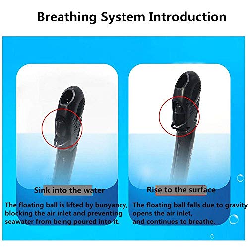 dxx Al aire libre personales Decoración estancos gafas y tubo de snorkel Gafas de natación Traje,Azul