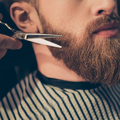 Eberbart Tijeras para Barba + Estuche de Cuero Sintético – Tijeras de barbero profesional para cuidar y recortar la barba y bigote