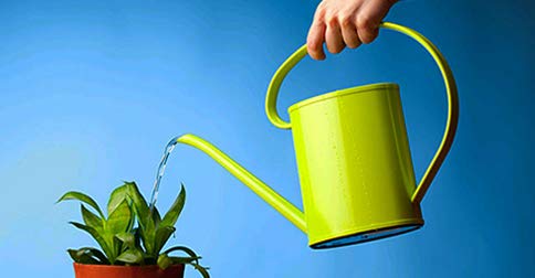 Ecosoluciones Químicas ECO-302 | 25 litros | Agua desionizada Ultra Pura| Agua desmineralizada