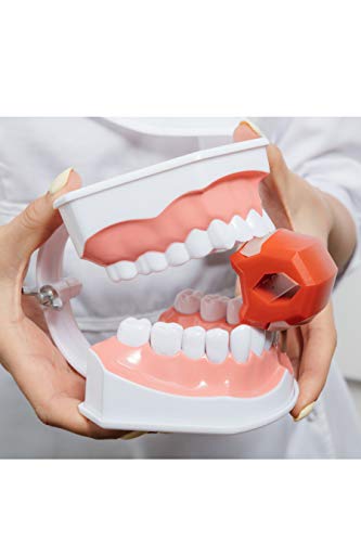 Ejercitador de mandíbula (nivel medio rojo) - Tóner de mandíbula y facial - Senderismo Fitness