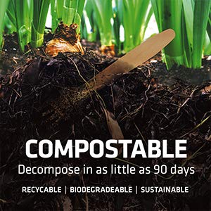 ekhõ The Wood Way! – Juego de 100 Tenedores Desechables de Madera Sostenible –Ecológicos Biodegradables y Compostables