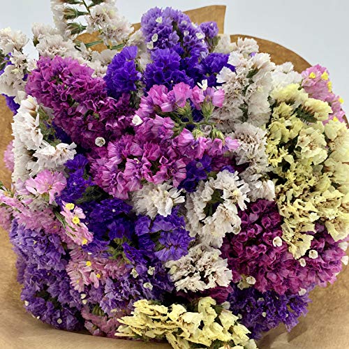 El Ático Garden. Ramo de flores secas naturales. Bouquet de flores secas decoración. Flores secas. Conjunto natural flores Statice o Siempreviva. Ramo de 40cmx20cm con pinza decoración.