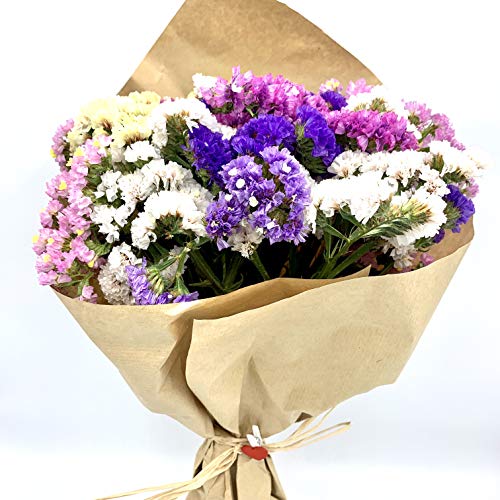 El Ático Garden. Ramo de flores secas naturales. Bouquet de flores secas decoración. Flores secas. Conjunto natural flores Statice o Siempreviva. Ramo de 40cmx20cm con pinza decoración.
