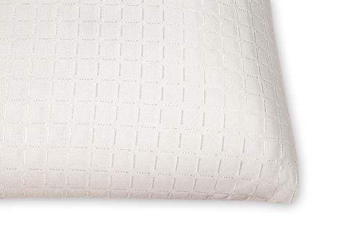 elalmacendelcolchon Almohada viscoelastica, Modelo Aloe Vera con Doble Funda, 60 x 40 x 12 cm, Máxima Adaptabilidad - Todas Las Medidas, Blanco y Beis