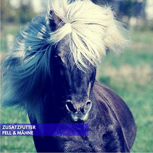 EMMA ♥ Aceite de linaza para Caballos pienso para Caballos complemento alimenticio I ácidos grasos Omega 3-6 en Aceite I prensado en frío I vitaminas A, D y E I para Pelo Brillante y energía 1 litro