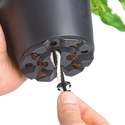 Emsa 514244 Pote de Hierbas, Blanco