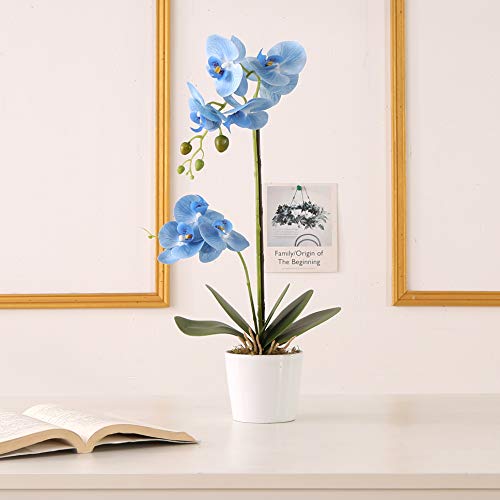 ENCOFT Flores Artificiales Plástico Flor de Phalaenopsis Realista Orquídea Mariposa con Maceta Imitación Cerámica Decoración (Azul (M))