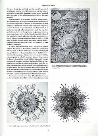 Ernst haeckel art forms in nature /anglais: Prints of Ernst Haekel (Monographs)