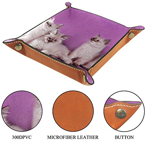 Eslifey - Bandeja organizadora de pelo semilargo asiático para gatos, caja de almacenamiento para mesilla de noche, para hombres, llaves, relojes y monedas, 20,5 x 20,5 cm