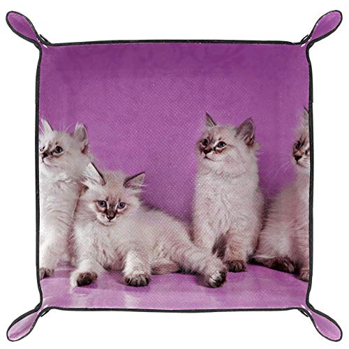 Eslifey - Bandeja organizadora de pelo semilargo asiático para gatos, caja de almacenamiento para mesilla de noche, para hombres, llaves, relojes y monedas, 20,5 x 20,5 cm