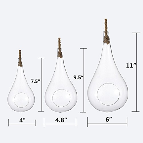 EssenceLiving - Cuerda para colgar en forma de lágrima grande para plantas de aire, suculentas y cactus, decoración de interiores, tamaño mediano