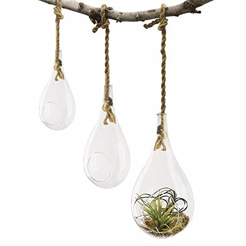 EssenceLiving - Cuerda para colgar en forma de lágrima grande para plantas de aire, suculentas y cactus, decoración de interiores, tamaño mediano