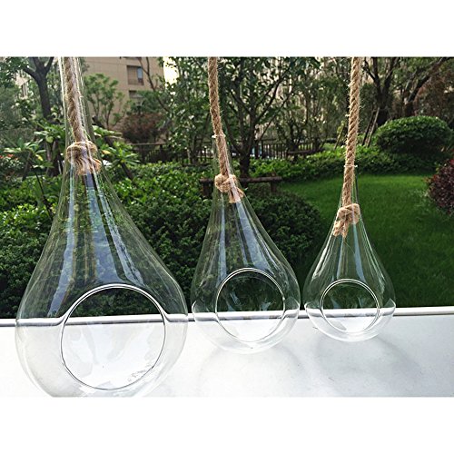 EssenceLiving - Cuerda para colgar en forma de lágrima grande para plantas de aire, suculentas y cactus, decoración de interiores, tamaño mediano