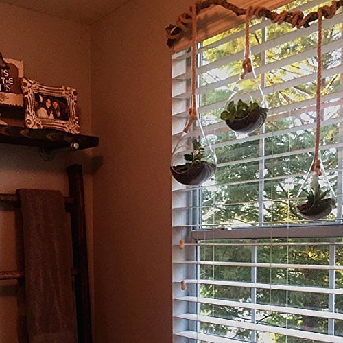 EssenceLiving - Cuerda para colgar en forma de lágrima grande para plantas de aire, suculentas y cactus, decoración de interiores, tamaño mediano