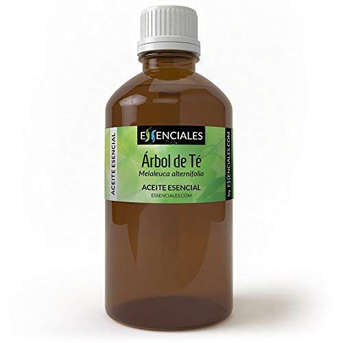 Essenciales - Aceite Esencial de Árbol de Té, 100% Puro, 500ml | Aceite Esencial Melaleuca Alternifolia - Tonificante, Antiséptico y Antifúngico