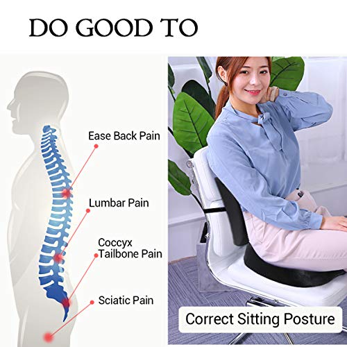 Essort Cojín de Asiento, Respaldo Lumbar y Asiento Cusion en Forma de U con Espuma de Memoria para Respaldo Lumbar, Dolor de Alivio, para Silla de Oficina, sofá, con Funda Lavable, Negro