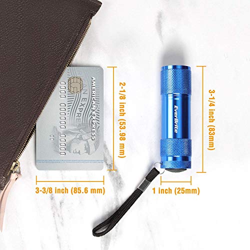 EverBrite 18PCs Mini Linterna Llavero LED, Linternas Portátiles de Aluminio Premium Ligero y Duradero,Mochilero con Correa ,6 colores y 54 Pilas 3AAA