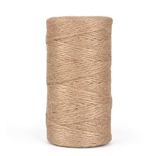 ewtshop® 100 x Mini de Pinzas de Madera + 100 Metros de Cuerda de Yute, Pinzas de la Ropa, Mini Pinzas de Madera, Grapas Adorno de Grapas, tamaño: Aprox. 2,5 cm