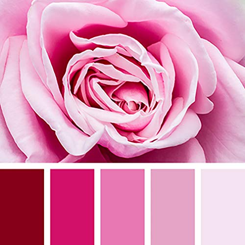 Fairyglo Esmaltes Semipermanentes en Gel UV LED, 5pcs Kit de Esmaltes de Uñas Soak-off 10ml 022