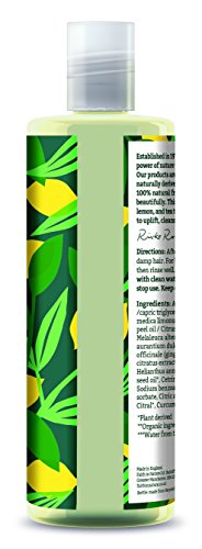 Faith in Nature Acondicionador Natural de Limón y Árbol del Té, Refrescante, Vegano y No Testado en Animales, sin Parabenos ni SLS, para Cabello Normal a Graso, 400 ml