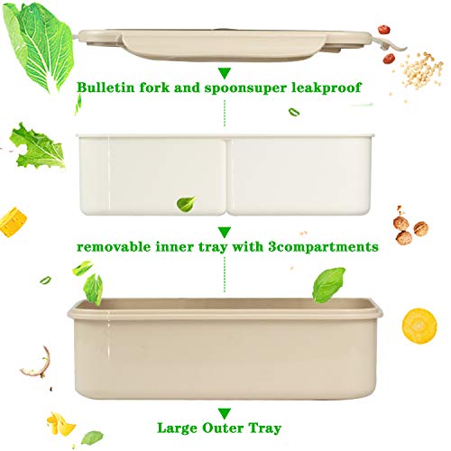 Fambrera Infantil, Lunch Box, Fiambrera con 3 Compartimientos, Cuchara Tenedor Lonchera, Bento Box Sostenible, para Microondas y Lavavajillas. (Beige)
