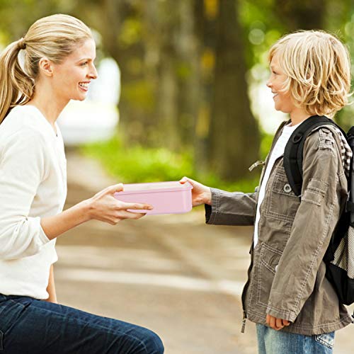 Fambrera Infantil, Lunch Box, Fiambrera con 3 Compartimientos, Cuchara Tenedor Lonchera, Bento Box Sostenible, para Microondas y Lavavajillas. (Rosado-B)