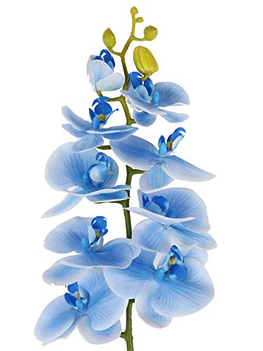 Famibay Orquidea Ramo Artificial Flores Phalaenopsis Flores Boda Hogar Decoración Azul