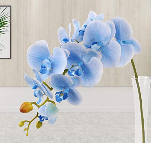 Famibay Orquidea Ramo Artificial Flores Phalaenopsis Flores Boda Hogar Decoración Azul