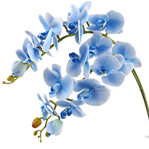 Famibay Orquidea Ramo Artificial Flores Phalaenopsis Flores Boda Hogar Decoración Azul