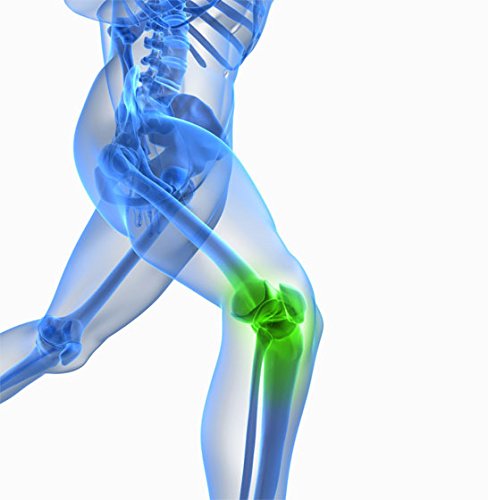 Farmadex Collvital Colageno, Magnesio, MSM, Acido Hialuronico.