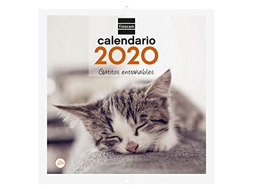 Finocam - Calendario de pared 2020 Imágenes 30x30 Gatitos español