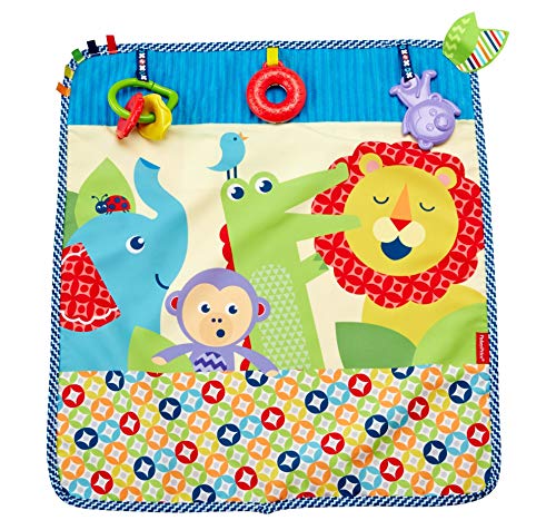 Fisher-Price Mantita activity de paseo, manta de actividades bebé (Mattel DYW52