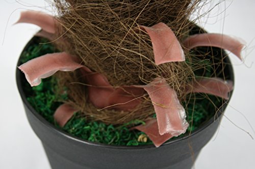 FloralStem - Planta artificial de palmera de fénix (130 cm), diseño exótico, para el hogar y la oficina