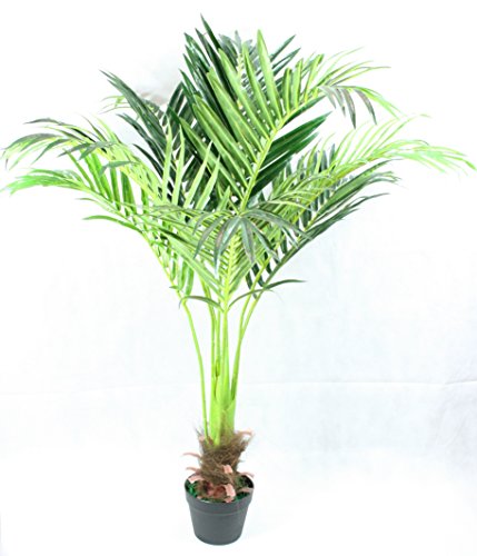 FloralStem - Planta artificial de palmera de fénix (130 cm), diseño exótico, para el hogar y la oficina