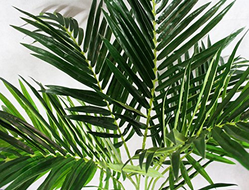 FloralStem - Planta artificial de palmera de fénix (130 cm), diseño exótico, para el hogar y la oficina