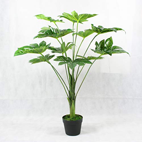 FloralStem - Planta artificial japonesa de Fatsia Aralia para decoración de interiores y oficinas