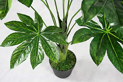 FloralStem - Planta artificial japonesa de Fatsia Aralia para decoración de interiores y oficinas