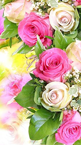 Flower Wallpaper, Floral, Rose Background: Rosely