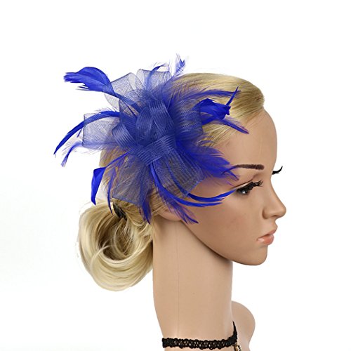 FORLADY Hilos de cáñamo Accesorios para el cabello Cabeza de pluma Diadema de malla de flores Vestido salvaje Mostrar Novia Tocado Sombrero de cóctel Sombrero de clip de pelo de flor