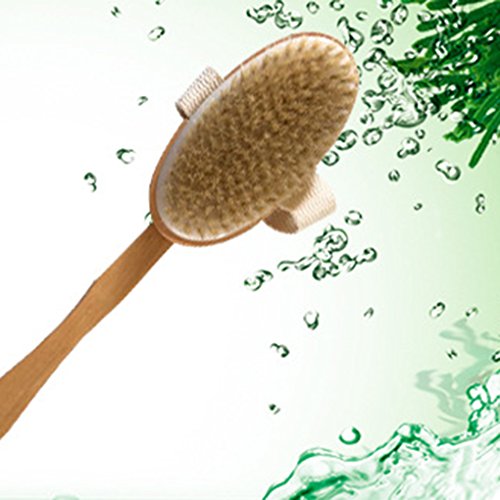 Fornateu De Largo Mango de Madera Cuerpo del baño Cepillo de cerdas extraíble Exfoliante la Piel Seca Volver depurador de Limpieza masajeador Ducha
