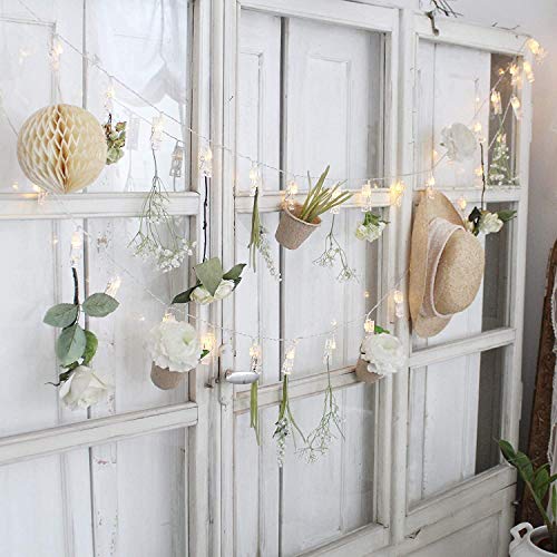 Foto Clip Cadena de Luces LED, Guirnalda de Luces para Decoración de Fotos I 40 LEDs 6m I Pinzas fotos I Fotoclips I Clip Cadena de Luces