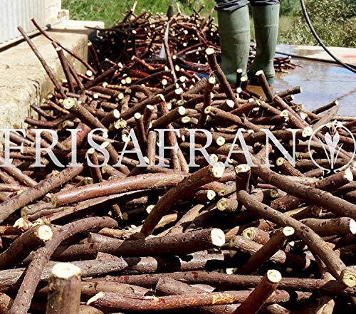 FRISAFRAN - Regaliz de palo Ecologico certificado (50Gr)