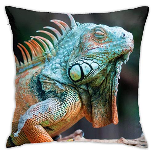 Funda de almohada decorativa Funda de cojín con cierre de cremallera invisible para el sofá del hogar Dormitorio Dormitorio para el automóvil para exteriores Águila calva de 18x18 pulgadas